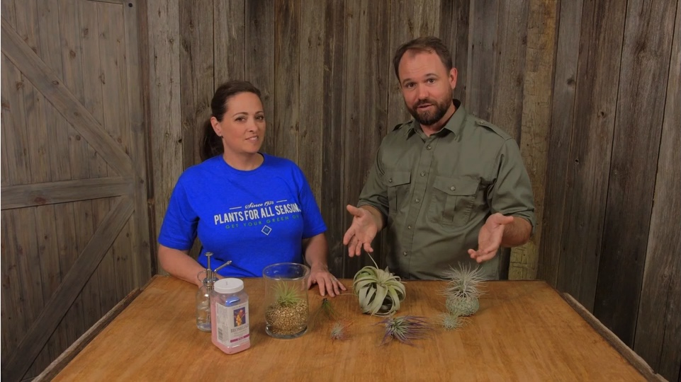 Organic House Plant Soil - HomeShow Garden Pros Radio