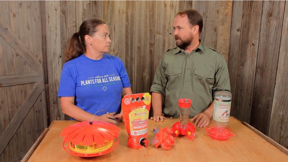 Feeding hummingbirds in your garden HomeShow Garden Pros Radio