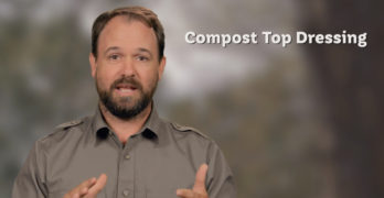 compost top dressing
