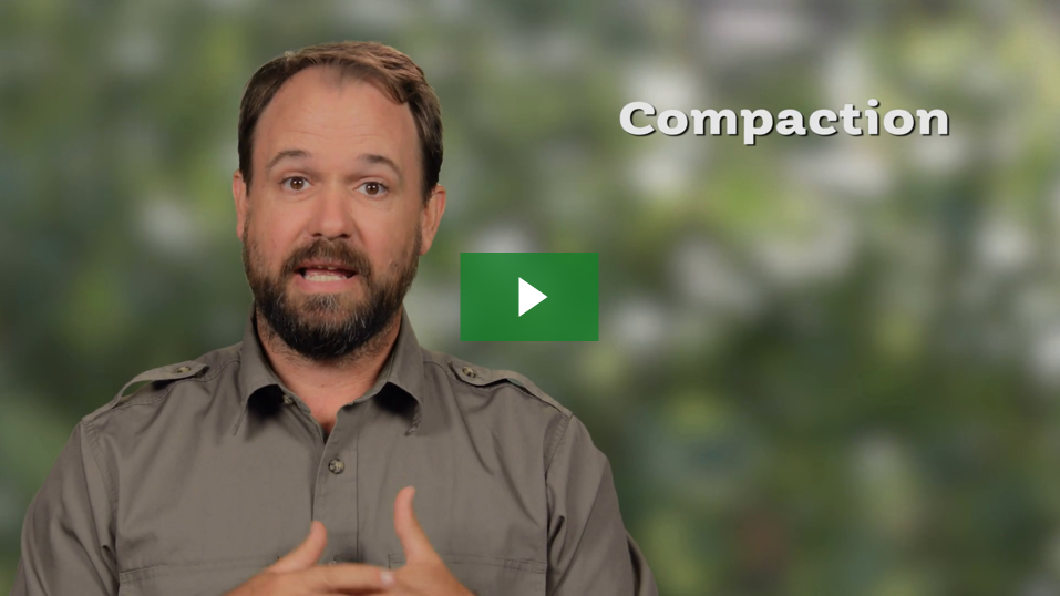 Fighting Compaction with Mulch