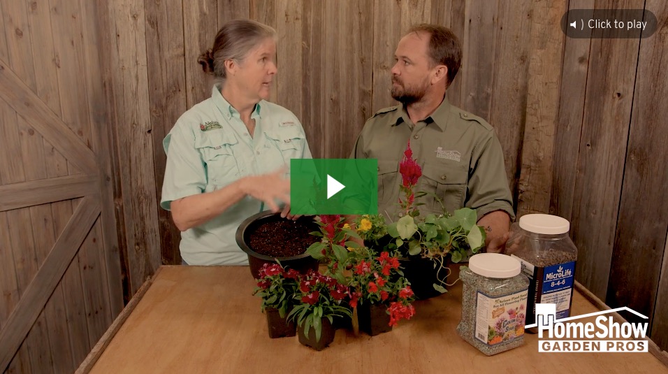 Container Gardening
