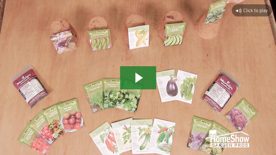 Veggie Assortments