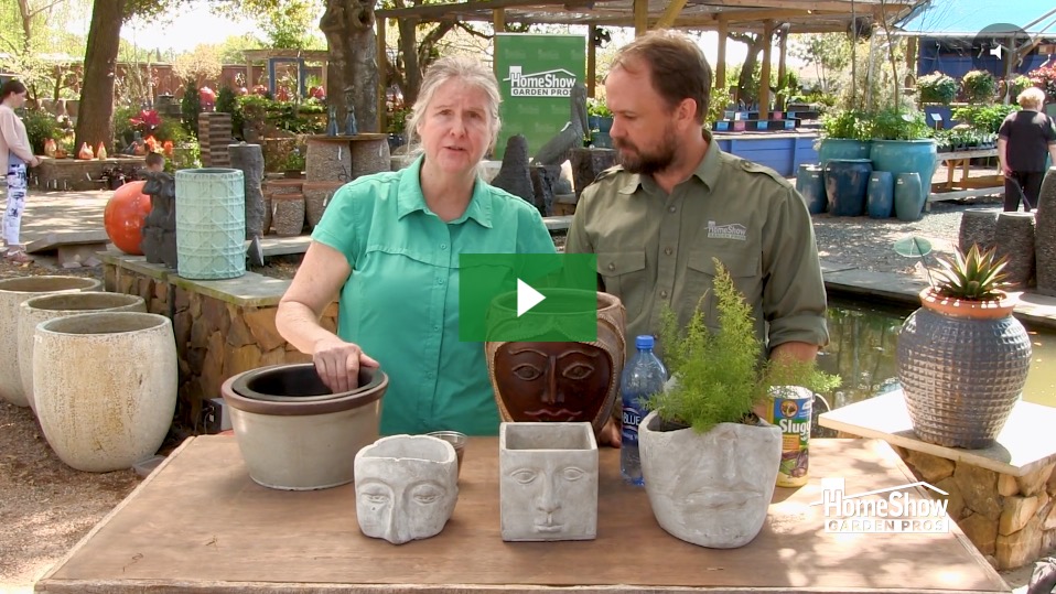 Unique Pots