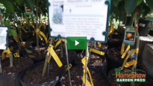 Gardening Tips Videos - HomeShow Garden Pros Radio