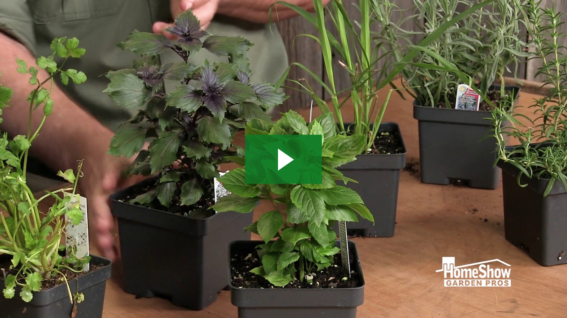 Scratch And Sniff Plants - Homeshow Garden Pros Radio