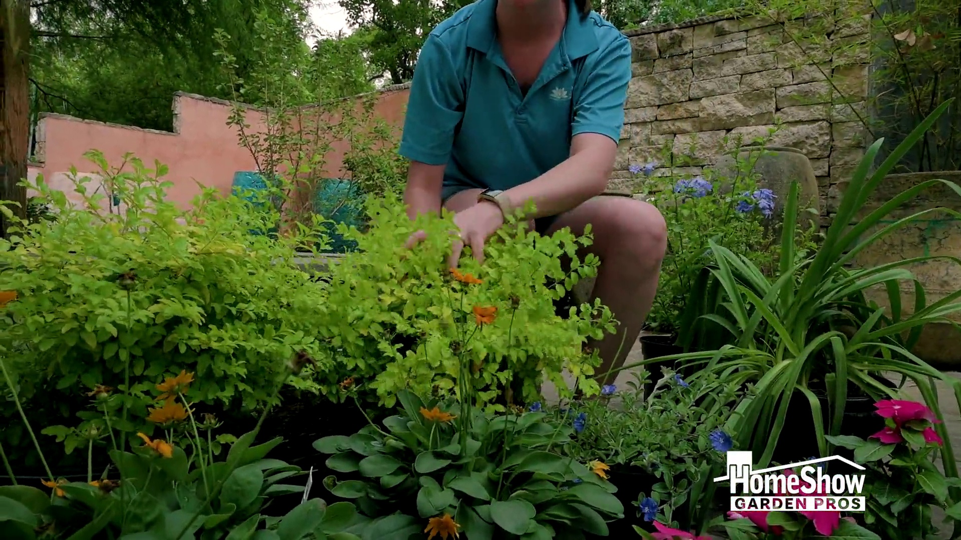 Full Sun Garden Beds - HomeShow Garden Pros Radio