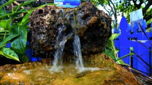 Water Features for Your Garden