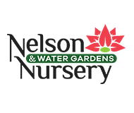 Nelson Nursery Logo