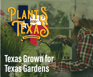 Plants for Texas