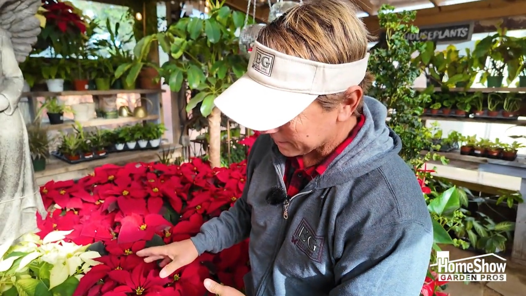 make-your-poinsettias-last-longer-homeshow-garden-pros-radio