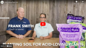 Acid Loving Plant Soil - Coast Of Maine