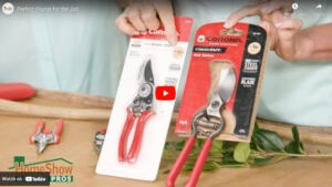 The Perfect Pruner For The Job from Corona Tools