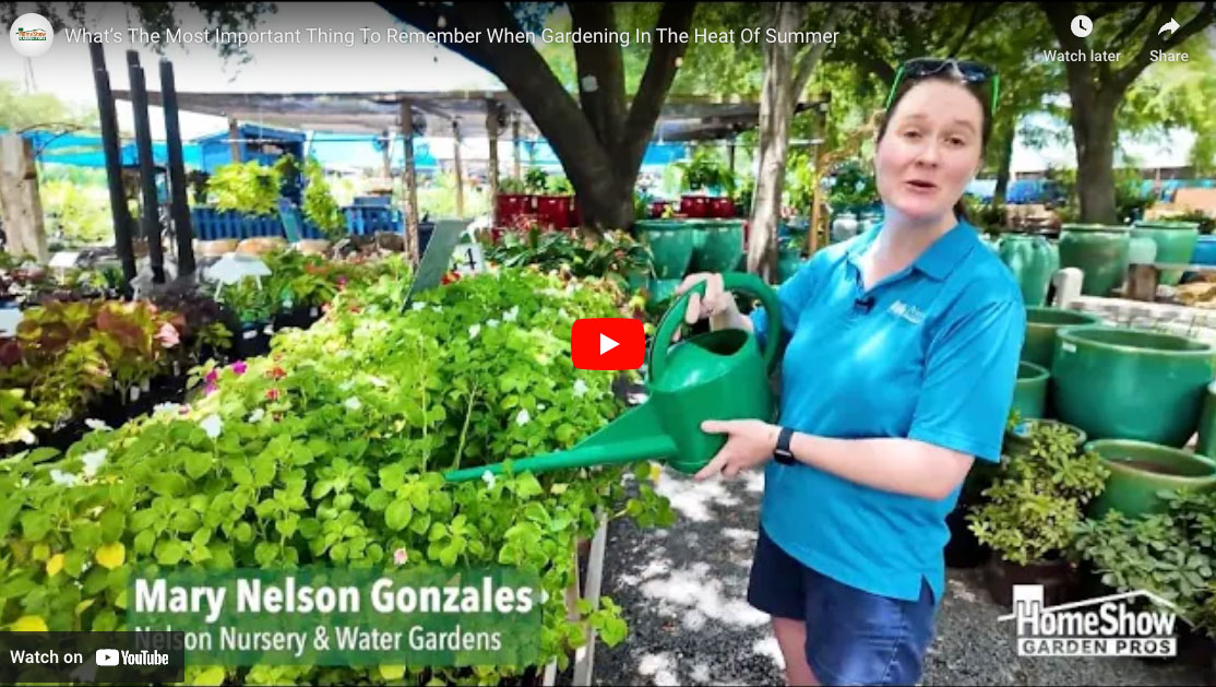 Gardening In The Heat Of Summer - HomeShow Garden Pros Radio