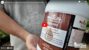 Summer got your plants stressed? Five ways molasses helps.