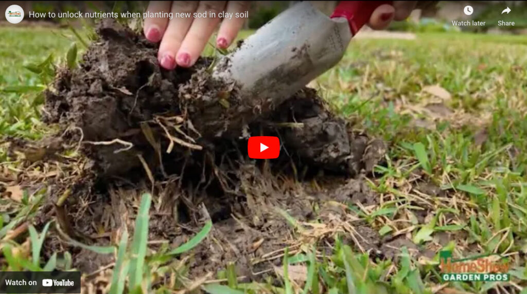 How To Unlock Nutrients When Planting New Sod in Clay Soil.