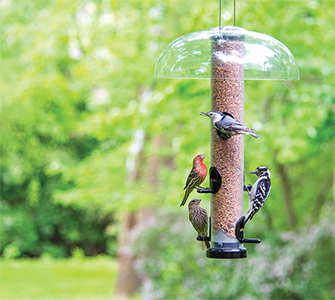 Wild Birds Unlimited