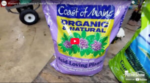 Coast Of Maine - Acid-Loving Plant Soil
