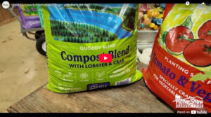 Best Soil for Tomatoes - Coast Of Maine