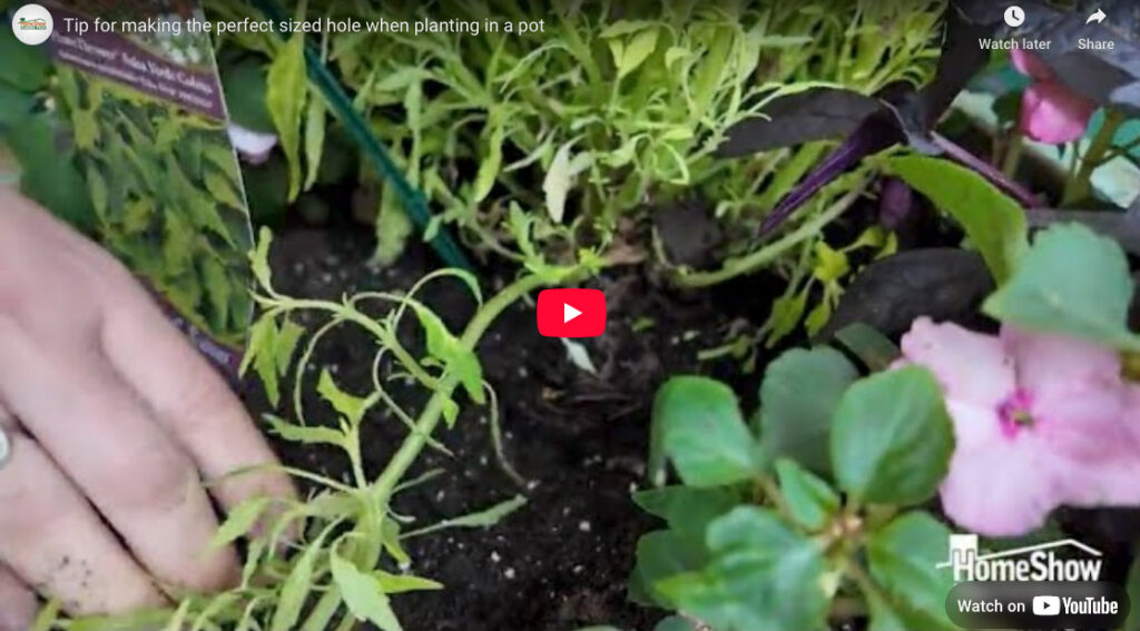 Tip For Making The Perfect Sized Hole When Planting In Pot