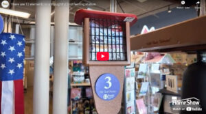 12 Essentials for a Thoughtful Bird Feeding Station - Wild Birds Unlimited