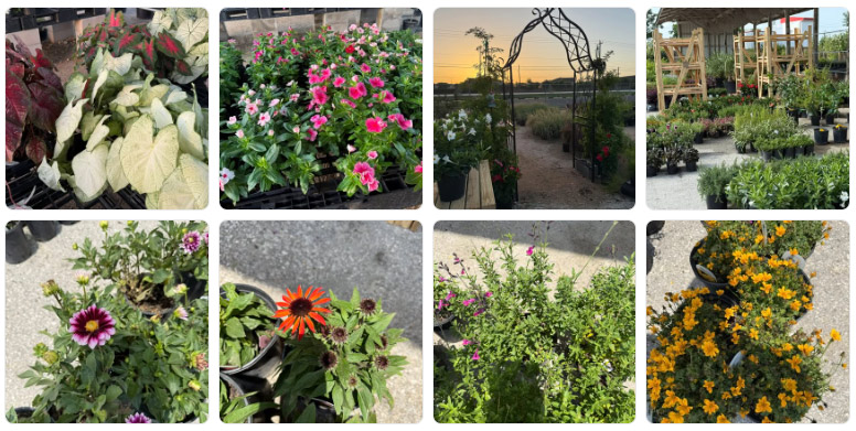 Old Town Nursery