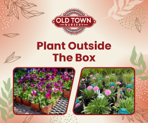 Old Town Nursery