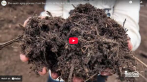 Mulch Aging Process: From Brush Pile to Premium Hardwood Mulch