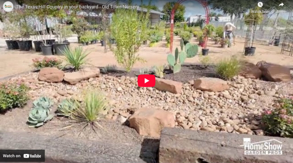 The Texas Hill Country in your backyard - Old Town Nursery