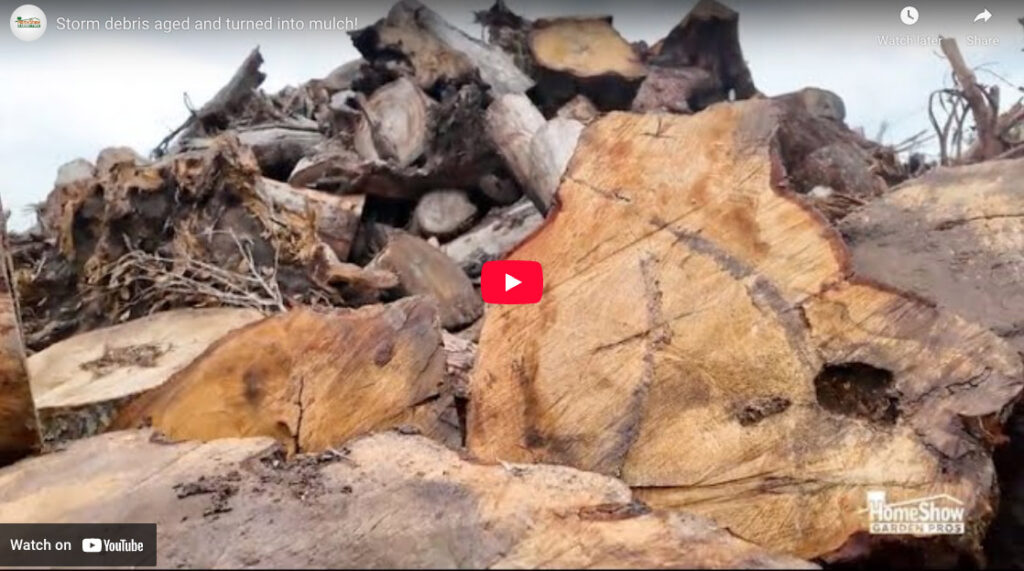 Storm Debris Aged And Turned Into Mulch