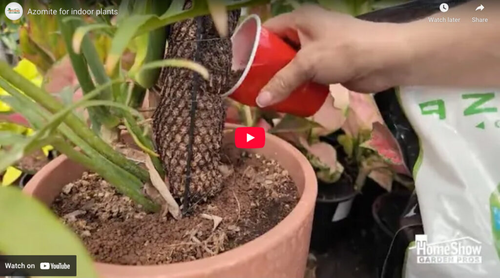 AZOMITE® For Indoor Plants
