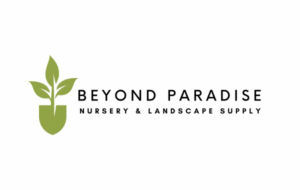 Beyond Paradise