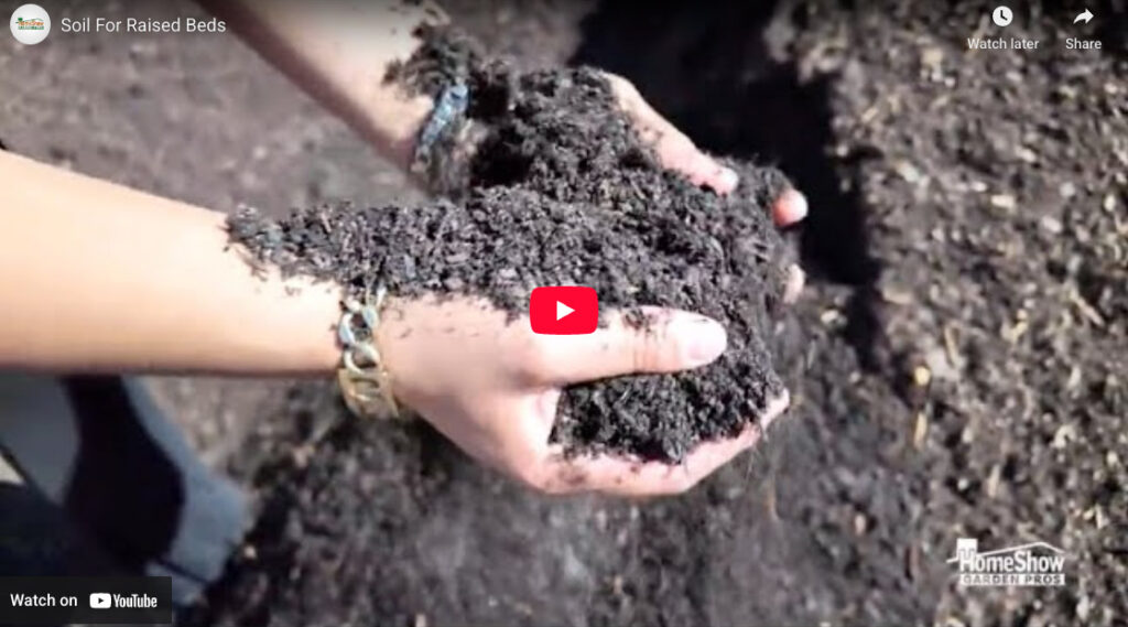 Soil For Raised Beds