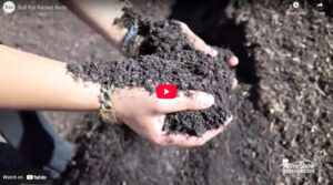 Soil For Raised Beds