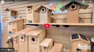 Attract Bluebirds With Nest Boxes