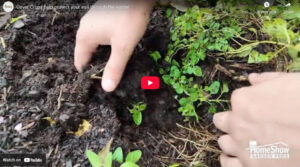 Cover Crops Help Protect Your Soil Through The Winter - Wabash Feed & Garden