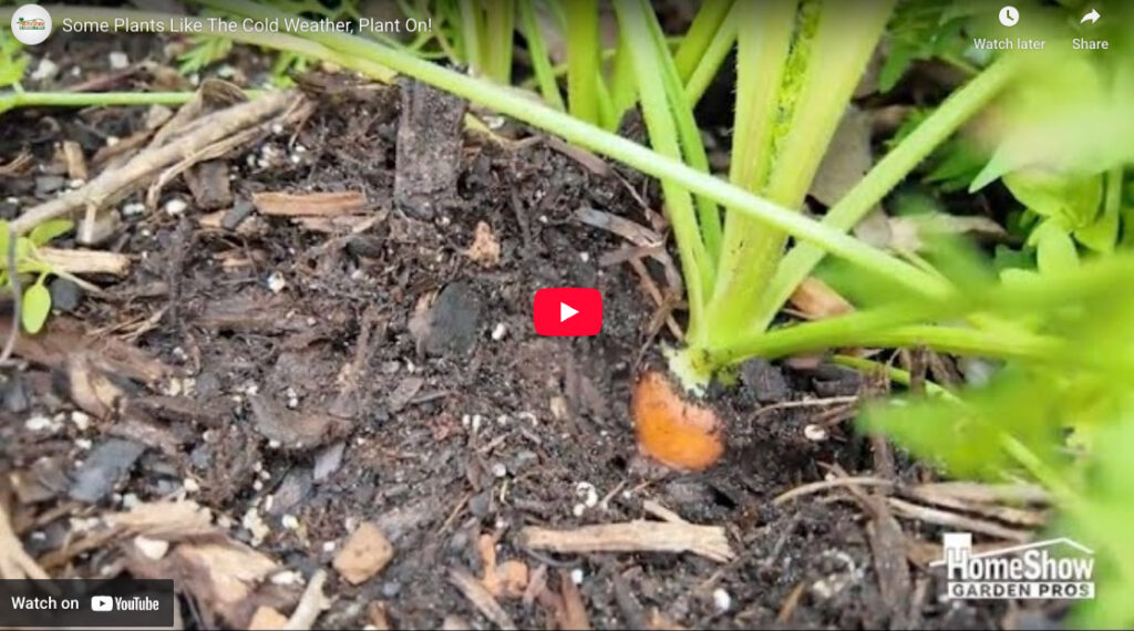 Some Plants Like The Cold Weather, Plant On! - Wabash Feed & Garden