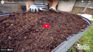 Planting Onions In A Raised Bed - Nelson Plant Food