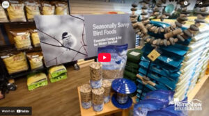 Winter Bird Feeding Tips