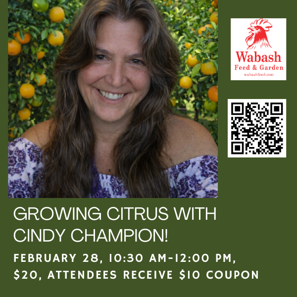 Growing Citrus - Wabash Feed & Garden