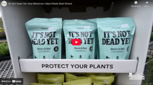 It’s Not Dead Yet: How MitoGrow Helps Plants Beat Stress