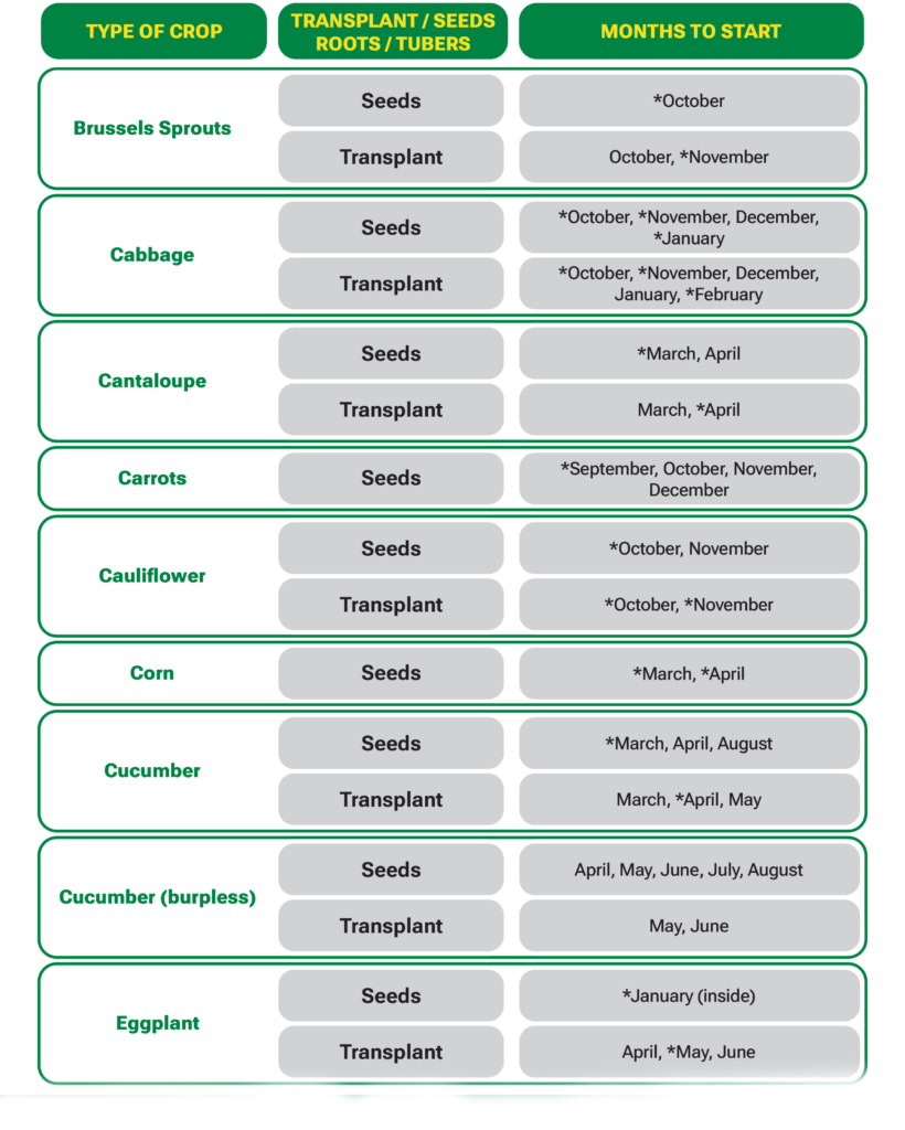 Veggie Planting Guide