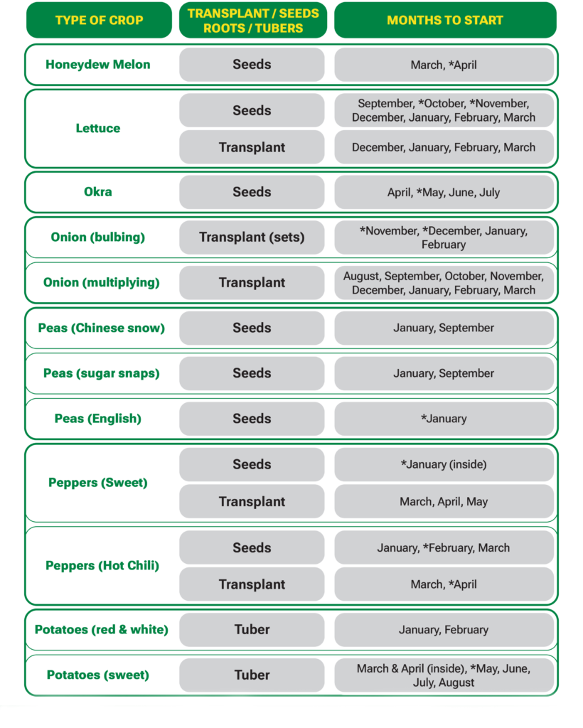 Veggie Planting Guide