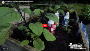 Gardening Tips for Growing Healthy Food Thumbnail