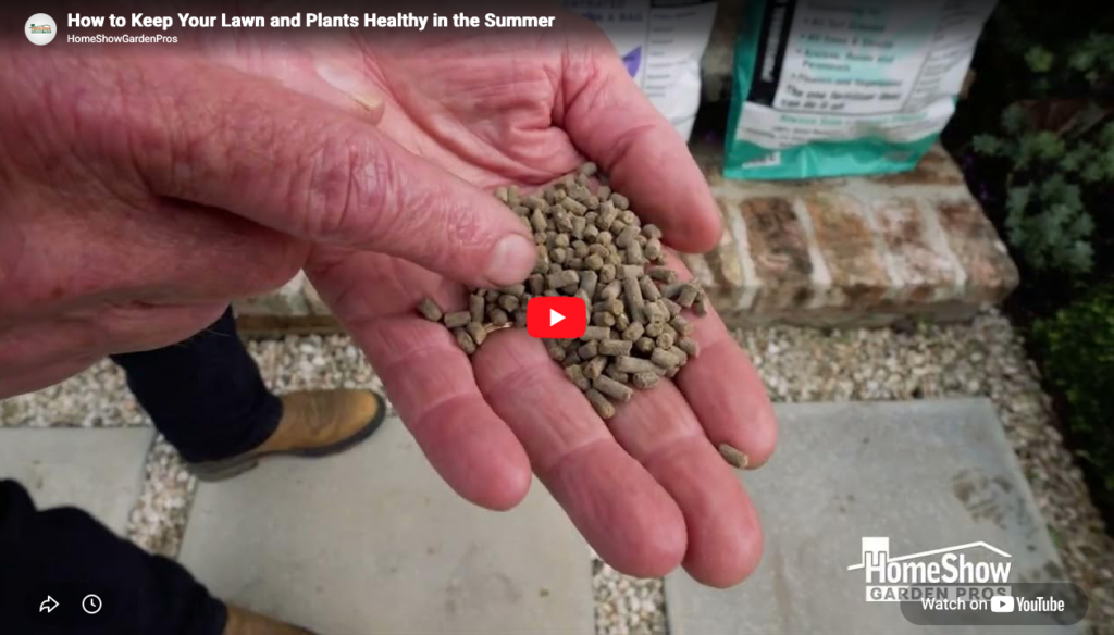 How to Keep Your Lawn Healthy During the Summer Thumbnail