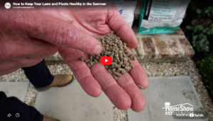 How to Keep Your Lawn Healthy During the Summer Thumbnail