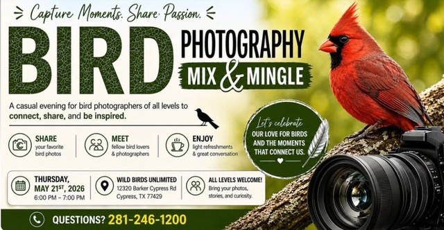Cypress Mix and Mingle