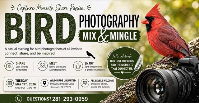 Memorial Birds Mix and Mingle