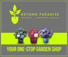 Beyond Paradise Nursery