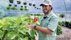 Best House Plants Thumbnail
