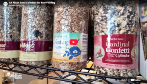 Seed Cylinders for Bird-Feeding Video